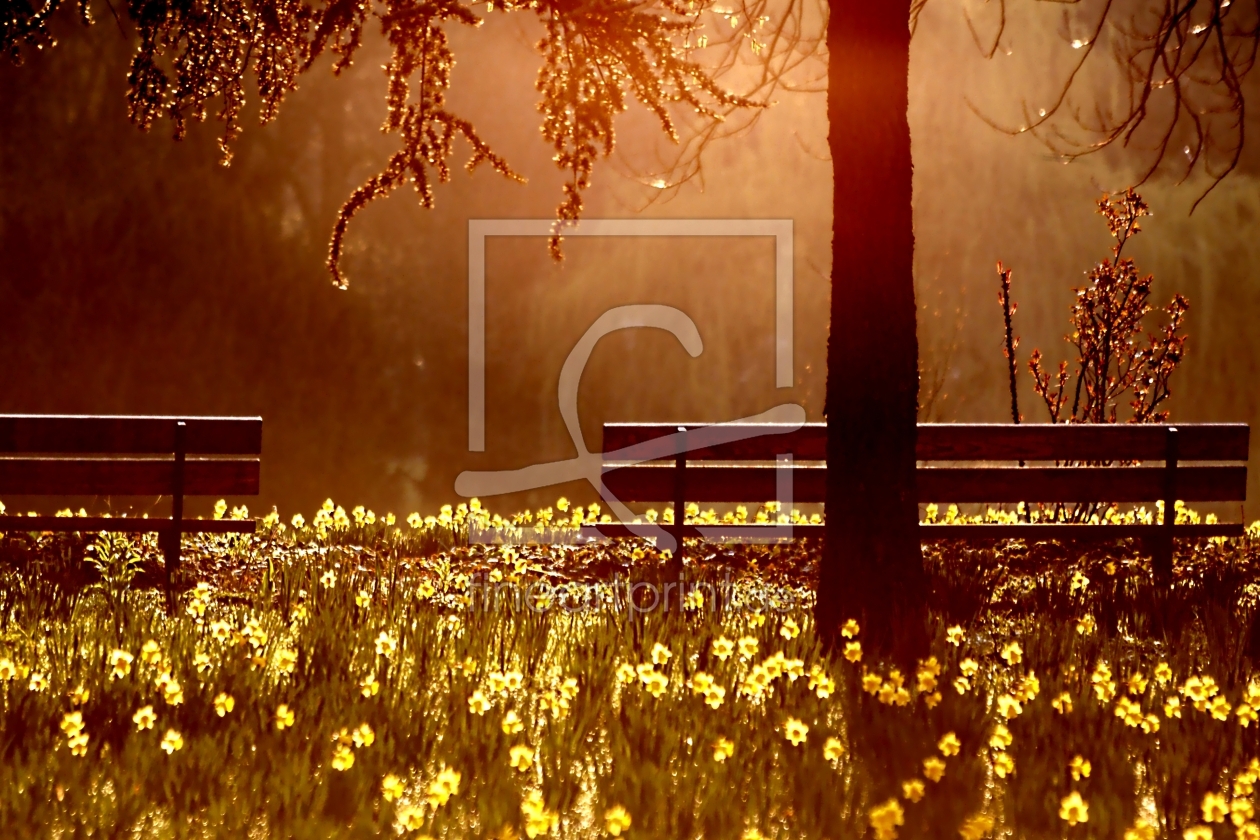 Bild-Nr.: 10219525 Morgens am See erstellt von youhaveadream