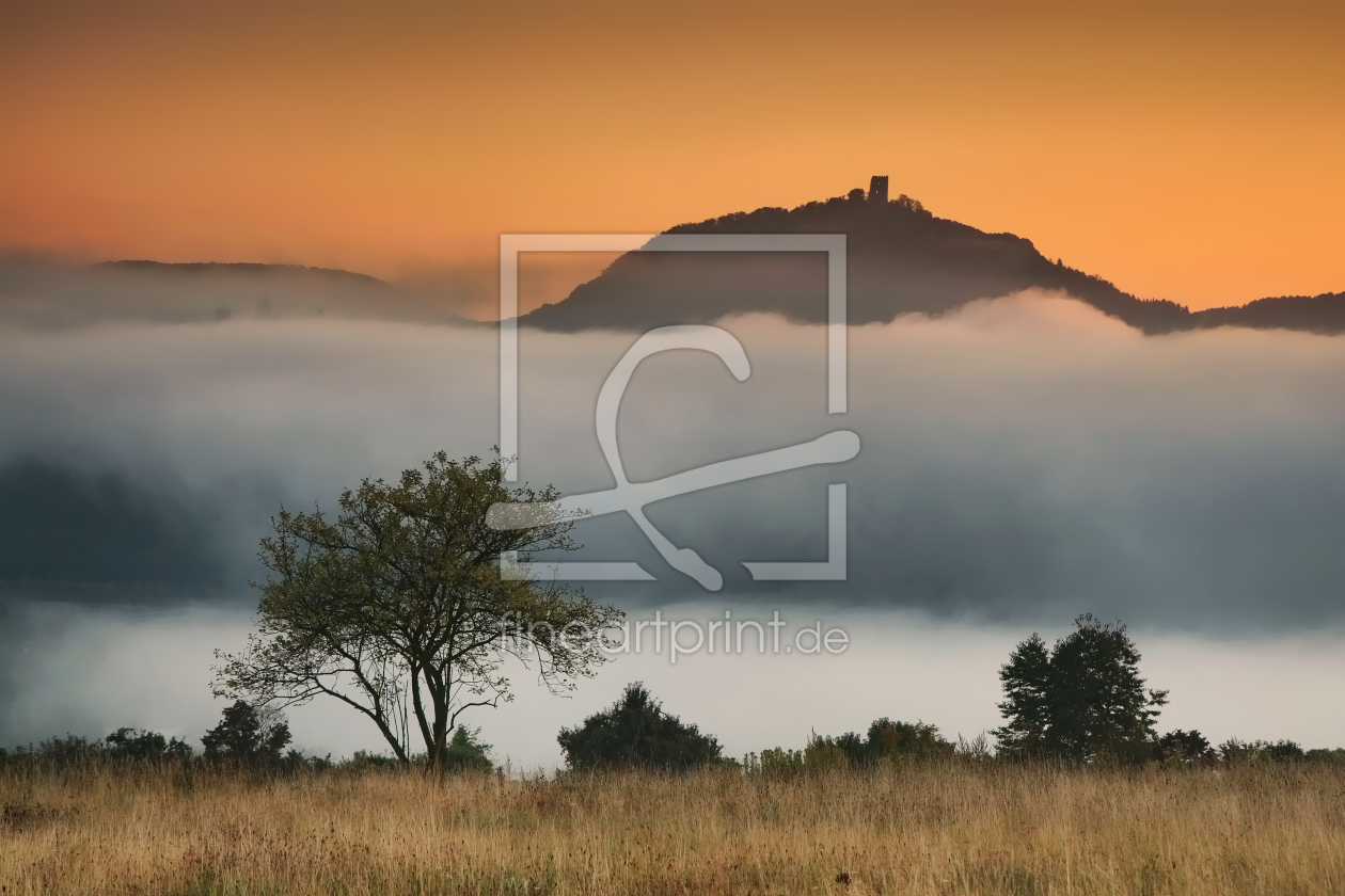 Bild-Nr.: 11232808 Drachenfels im Nebel erstellt von der-rheinlaender