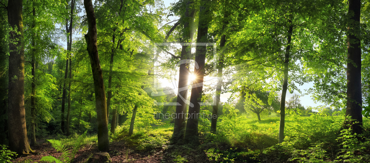 Bild-Nr.: 12802359 Herrliche Waldlandschaft mit üppig grünen Bäumen erstellt von Smileus