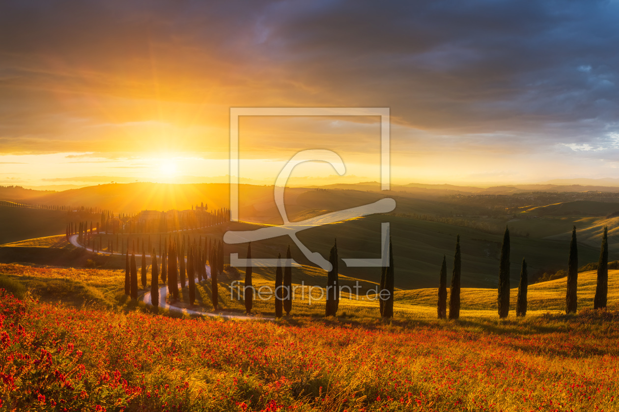 Bild-Nr.: 12828840 Stimmungsvoller Sonnenuntergang in der Toskana erstellt von Daniela Beyer