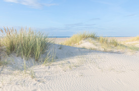 Weiße Nordseedünen/12923141