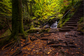 Secret Place/12924332