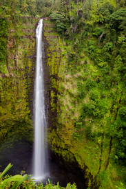 Akaka Falls auf Hawaii/12924342