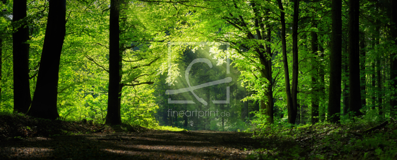 frei wählbarer Bildausschnitt für Ihr Bild auf Glas-Schneidebrett