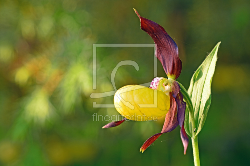 frei wählbarer Bildausschnitt für Ihr Bild auf Glas-Schneidebrett