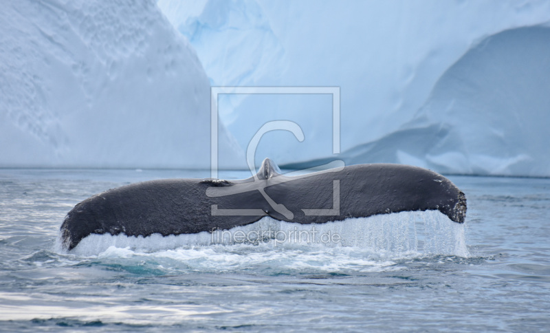 frei wählbarer Bildausschnitt für Ihr Bild auf Glas-Schneidebrett