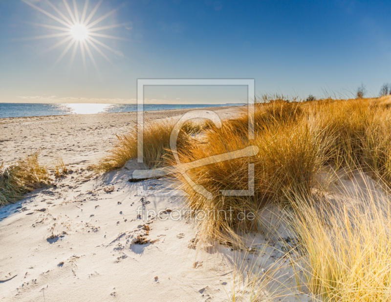 frei wählbarer Bildausschnitt für Ihr Bild auf Glas-Schneidebrett