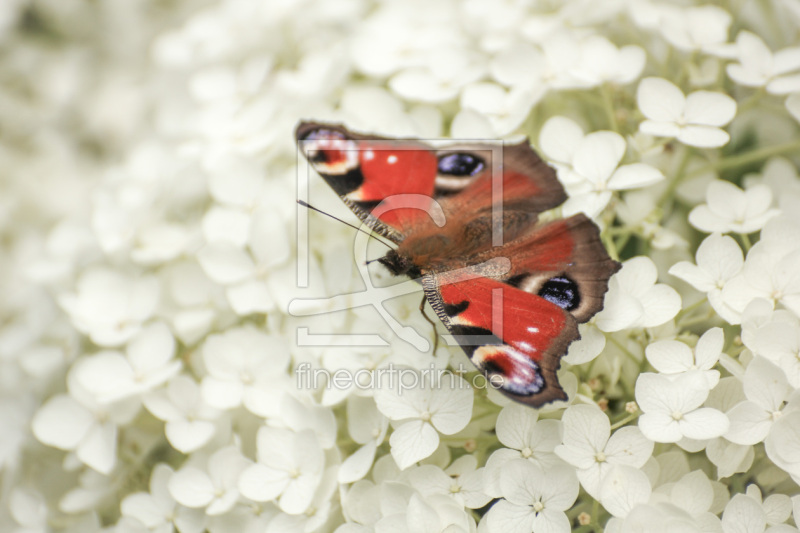 frei wählbarer Bildausschnitt für Ihr Bild auf Grußkarte