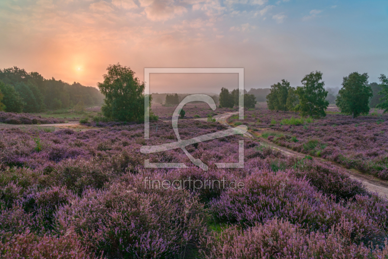 frei wählbarer Bildausschnitt für Ihr Bild auf Kissen