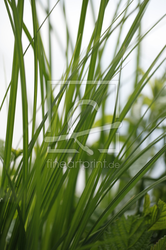 frei wählbarer Bildausschnitt für Ihr Bild auf Label