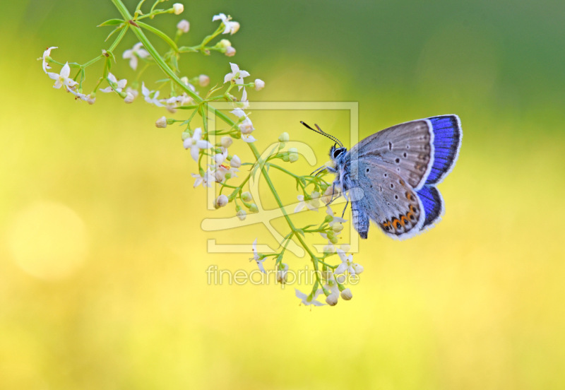 frei wählbarer Bildausschnitt für Ihr Bild auf Label