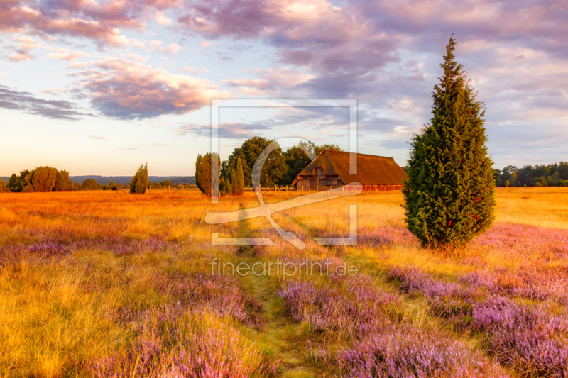 frei wählbarer Bildausschnitt für Ihr Bild auf Leinwand