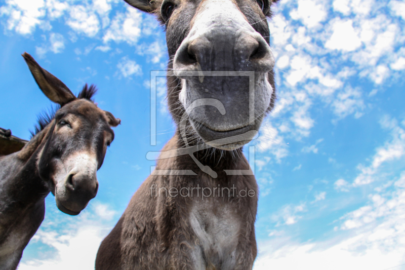 frei wählbarer Bildausschnitt für Ihr Bild auf Mousepad