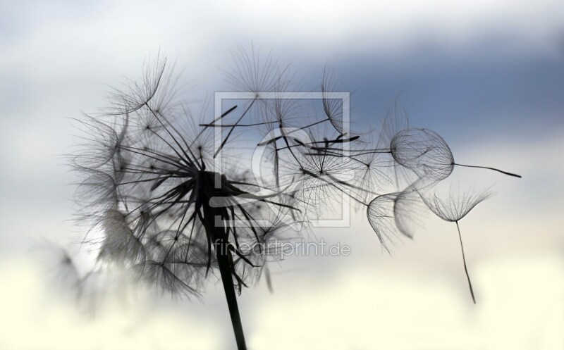 frei wählbarer Bildausschnitt für Ihr Bild auf Papier