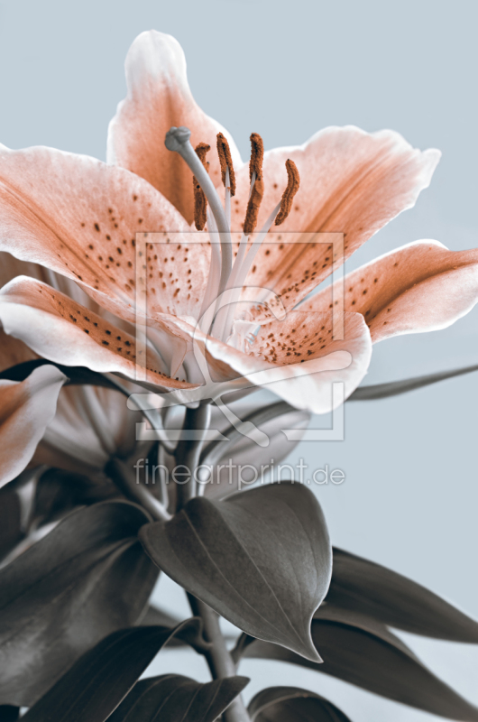 frei wählbarer Bildausschnitt für Ihr Bild auf Papier