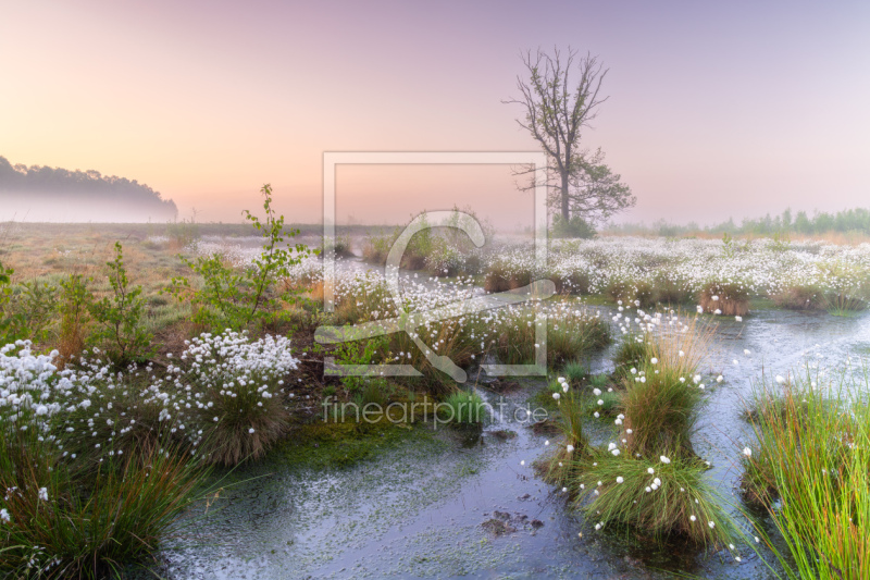 frei wählbarer Bildausschnitt für Ihr Bild auf Papier