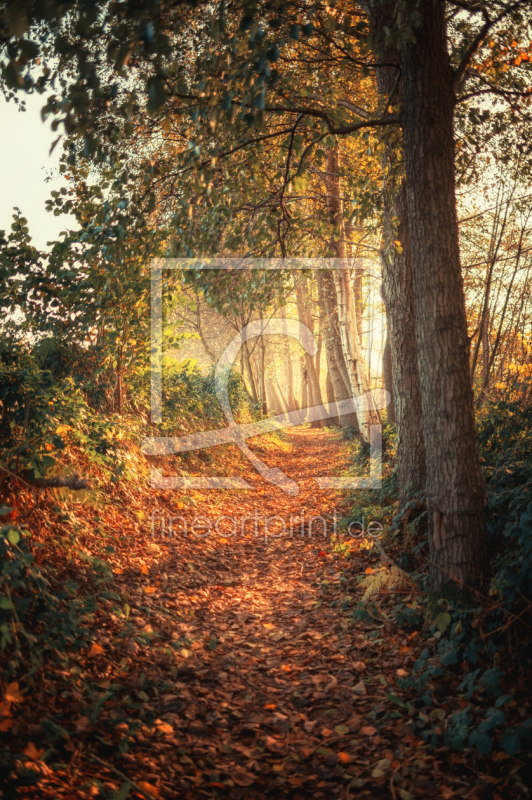 frei wählbarer Bildausschnitt für Ihr Bild auf Papier