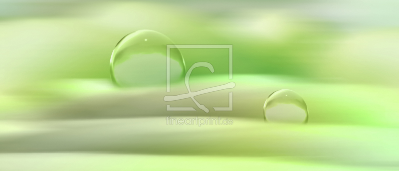 frei wählbarer Bildausschnitt für Ihr Bild auf Poster