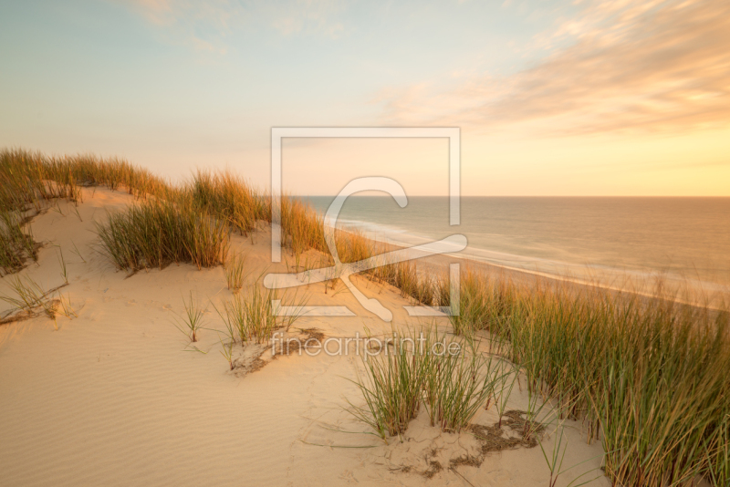 frei wählbarer Bildausschnitt für Ihr Bild auf Tapete