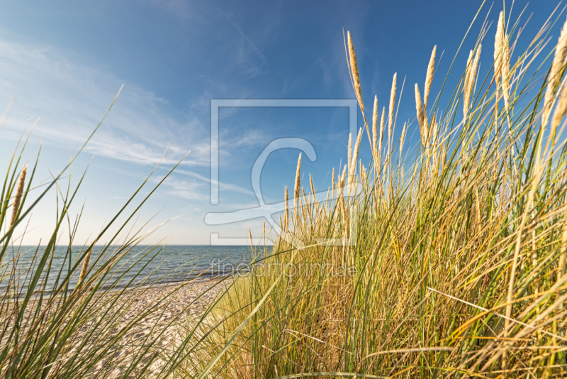 frei wählbarer Bildausschnitt für Ihr Bild auf Tapete