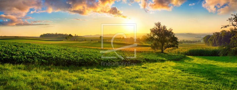 frei wählbarer Bildausschnitt für Ihr Bild auf Tapete