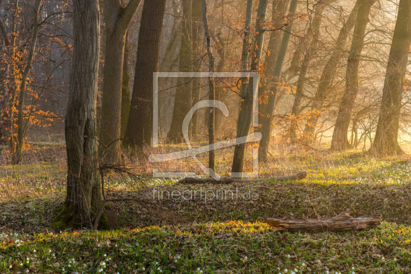 frei wählbarer Bildausschnitt für Ihr Bild auf Tapete