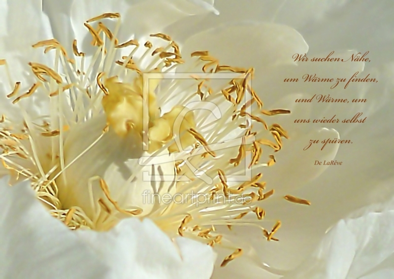 frei wählbarer Bildausschnitt für Ihr Bild auf Tischdecke