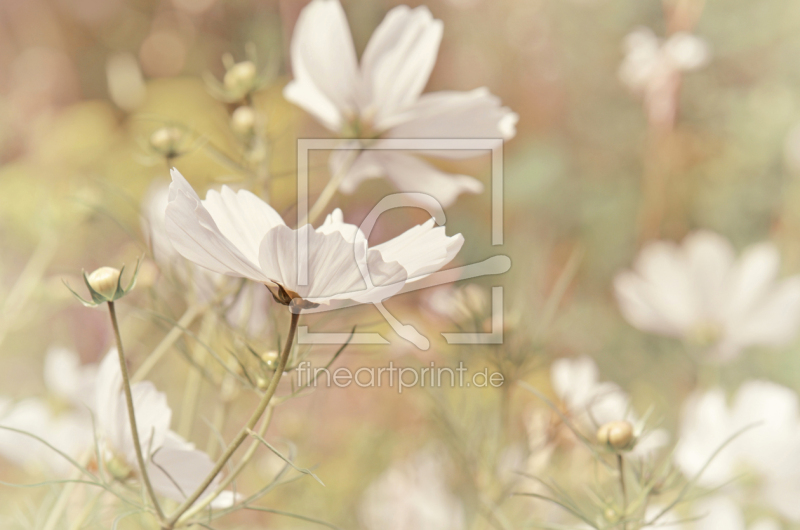 frei wählbarer Bildausschnitt für Ihr Bild auf Tischdecke