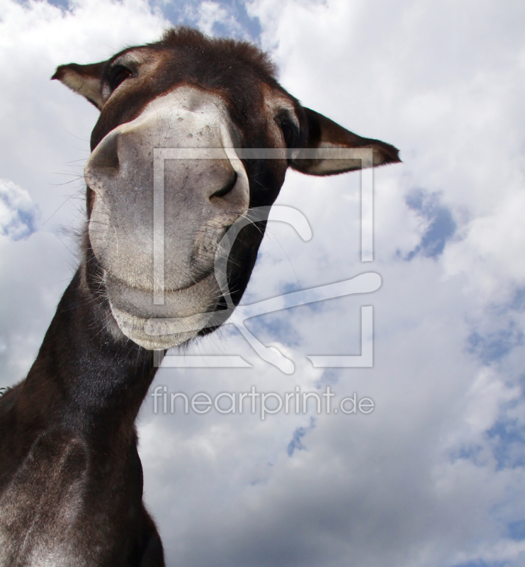 frei wählbarer Bildausschnitt für Ihr Bild auf Tischdecke
