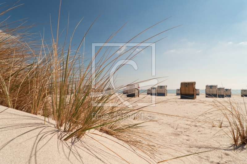 frei wählbarer Bildausschnitt für Ihr Bild auf Türfolie