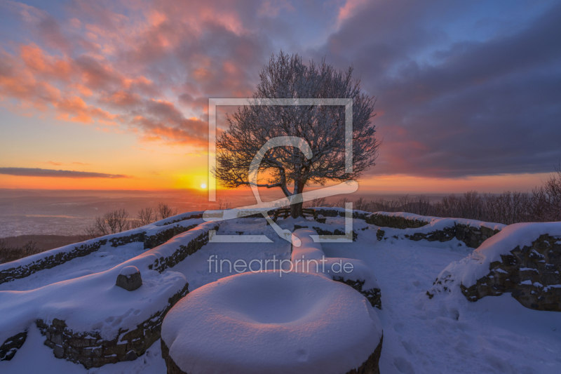 frei wählbarer Bildausschnitt für Ihr Bild auf Türfolie