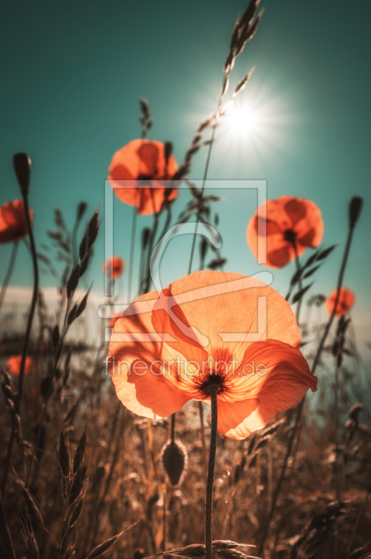 frei wählbarer Bildausschnitt für Ihr Bild auf Untersetzer